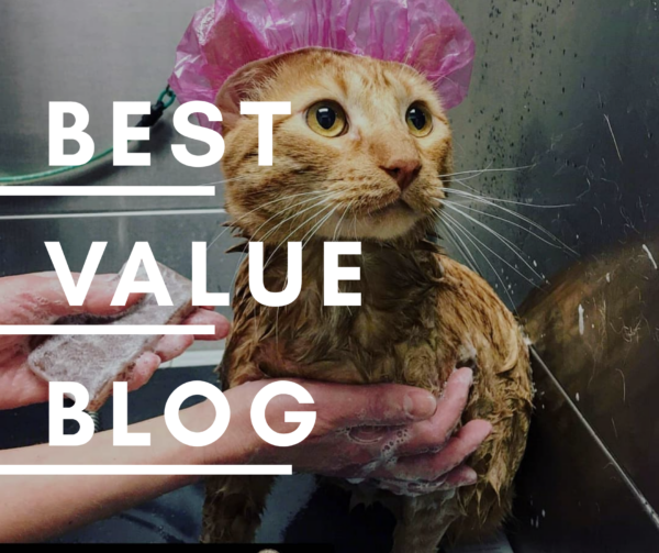 best value blog photo